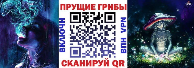Псилоцибиновые грибы Psilocybe даркнет сайт Владикавказ