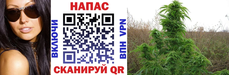 omg зеркало  Владикавказ  Каннабис Ganja 